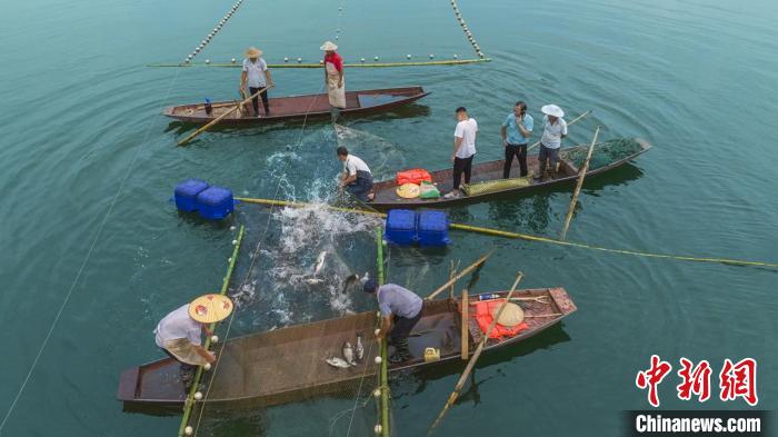 捕魚現(xiàn)場。　主辦方供圖