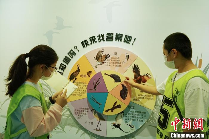 圖為小朋友在青海西寧湟水國家濕地公園科普館內(nèi)參觀學習?！●R銘言 攝