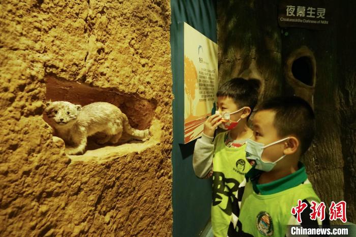 圖為小朋友在青海西寧湟水國家濕地公園科普館內(nèi)參觀學習?！●R銘言 攝