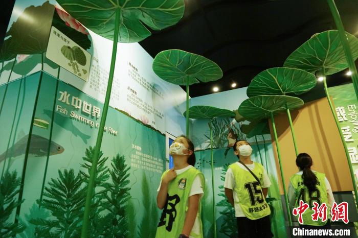圖為小朋友在青海西寧湟水國家濕地公園科普館內(nèi)參觀學習?！●R銘言 攝