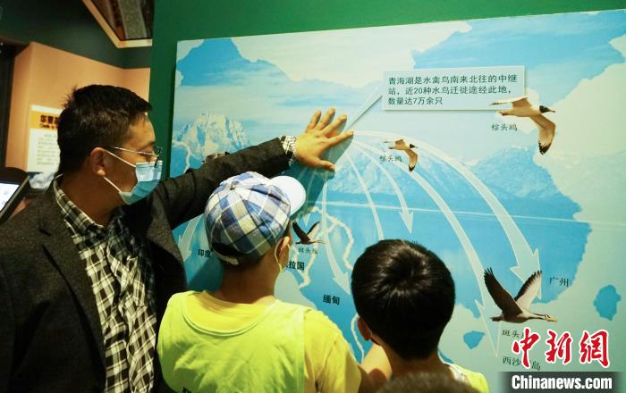 圖為小朋友在青海西寧湟水國家濕地公園科普館內(nèi)參觀學習?！●R銘言 攝