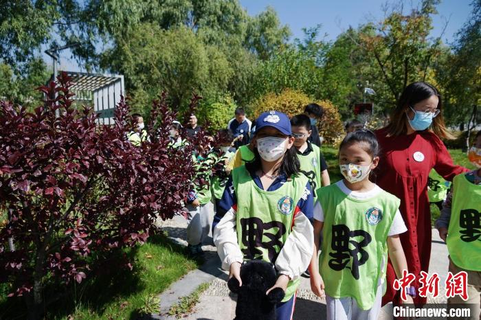 圖為小朋友在青海西寧湟水國家濕地公園內(nèi)認識植物?！●R銘言 攝