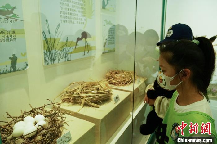 圖為小朋友在青海西寧湟水國家濕地公園科普館內(nèi)參觀學習?！●R銘言 攝