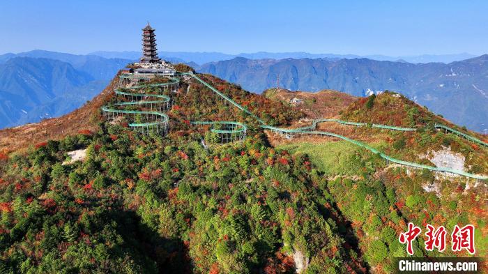 巴山大峽谷彩林迎來最佳觀賞期。　姚盛 攝