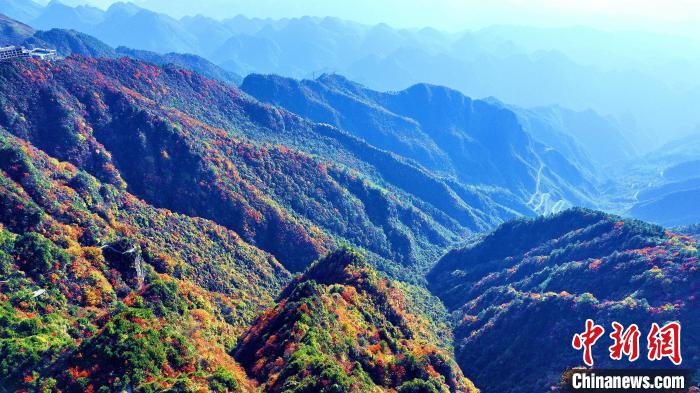 巴山大峽谷彩林迎來最佳觀賞期?！埰?攝