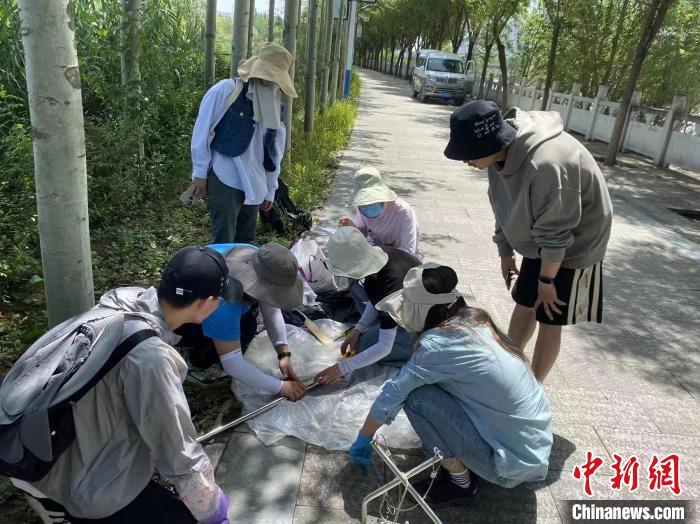 圖為科研人員正在進行監(jiān)測?！∥鲗庝宜畤覞竦毓珗@供圖