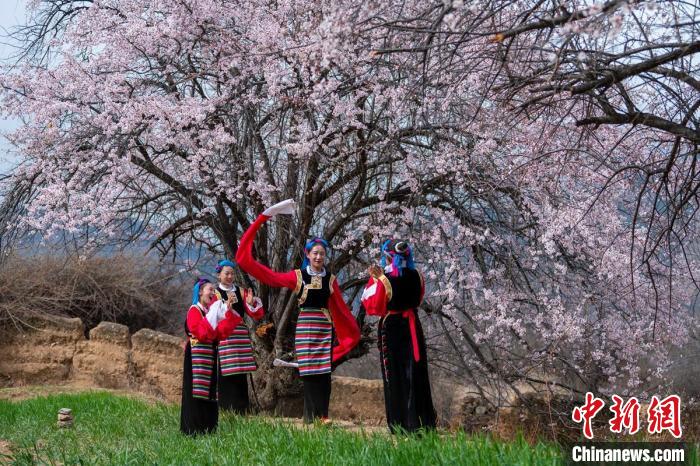 桃花樹(shù)下開(kāi)心玩耍的女孩們?！⒅铱?攝