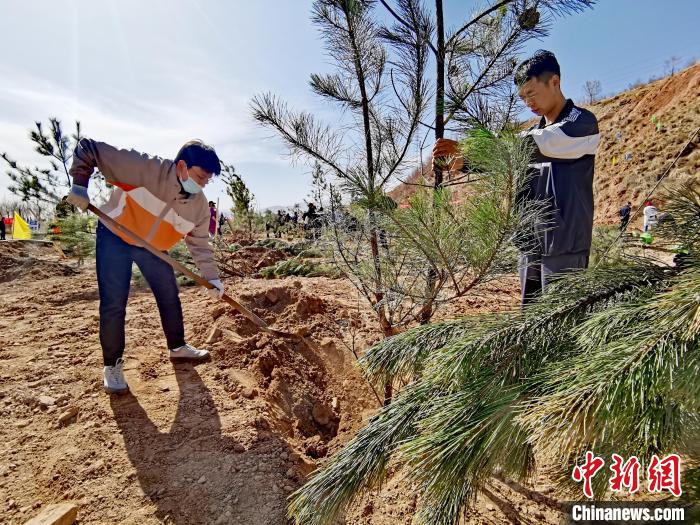 圖為西寧市城東區(qū)義務(wù)植樹活動現(xiàn)場?！?zhí)砀?攝