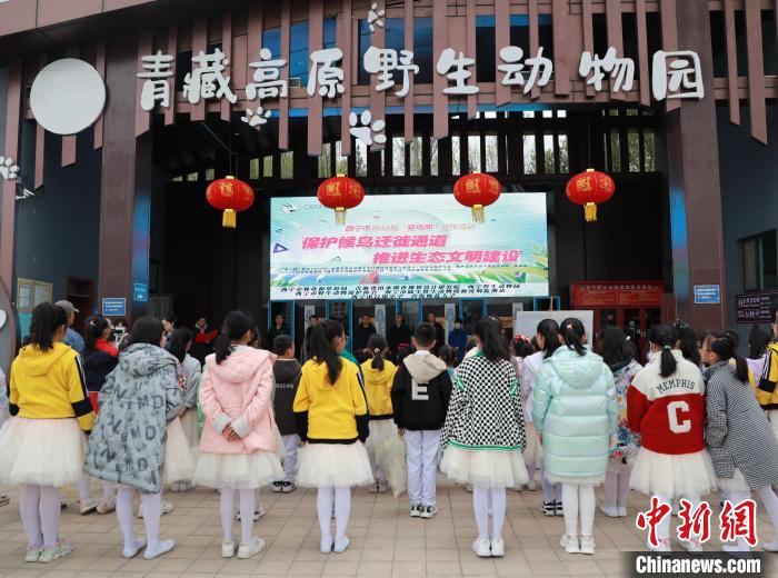 圖為青海省西寧市開展第42屆“愛鳥周”科普宣傳活動?！●R銘言 攝