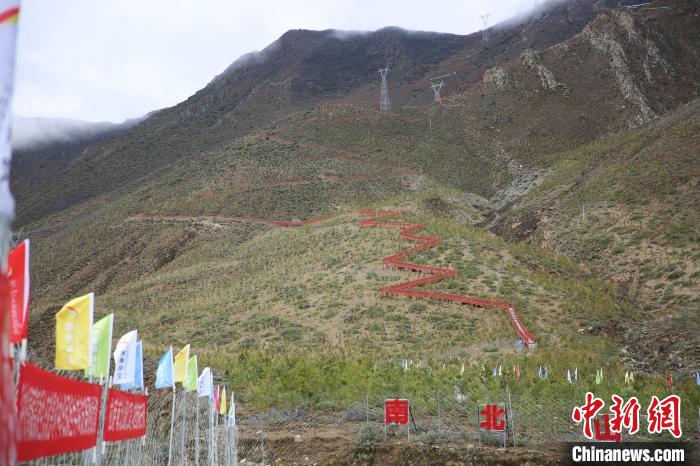 圖為拉薩南北山綠化工程拉薩曲水縣才納村5號片區(qū)?！∝暣_ 攝