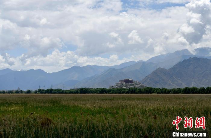 圖為拉薩拉魯濕地?！±盍?攝