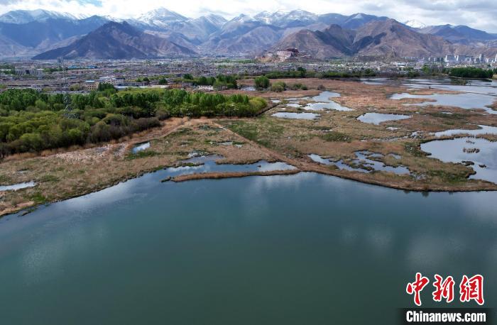 圖為拉薩拉魯濕地。(無人機(jī)照片) 李林 攝