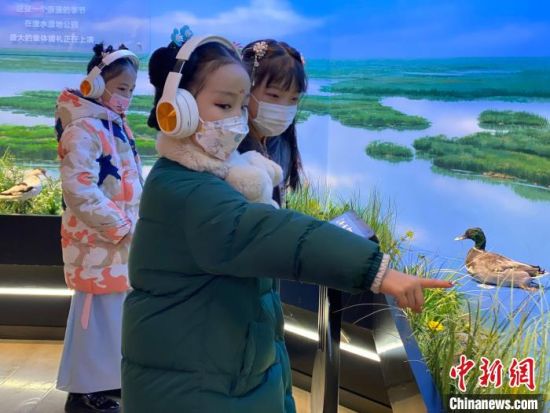 圖為學生在西寧市第一中學濕地科普宣教館內(nèi)參觀。　李江寧 攝