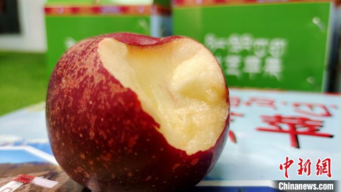 圖為通麥村特色甜心蘋(píng)果?！∝暽＠?攝