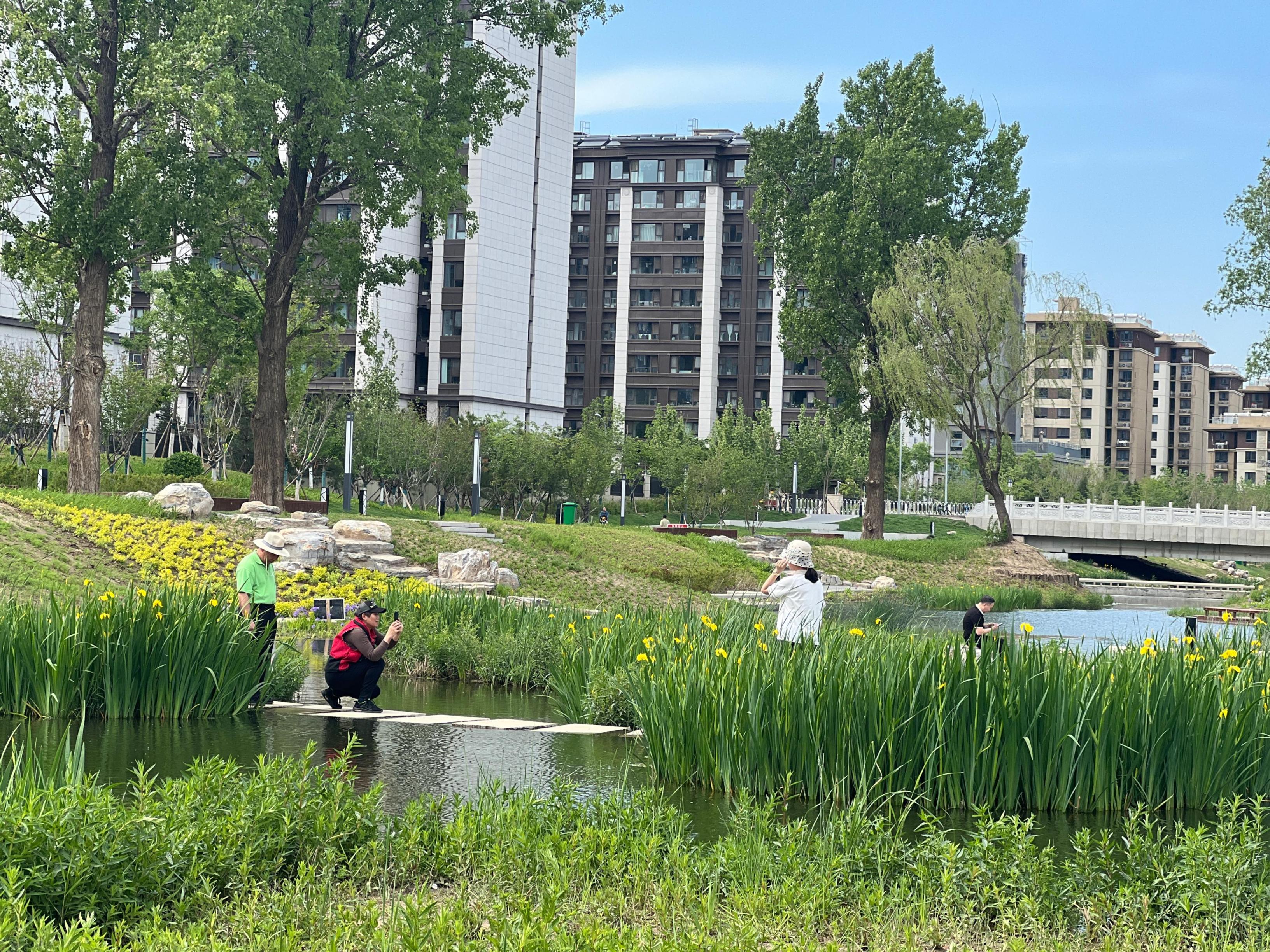 五一渠生態(tài)濱河公園內(nèi)，市民正在拍照留念。人民網(wǎng) 歐陽(yáng)易佳攝