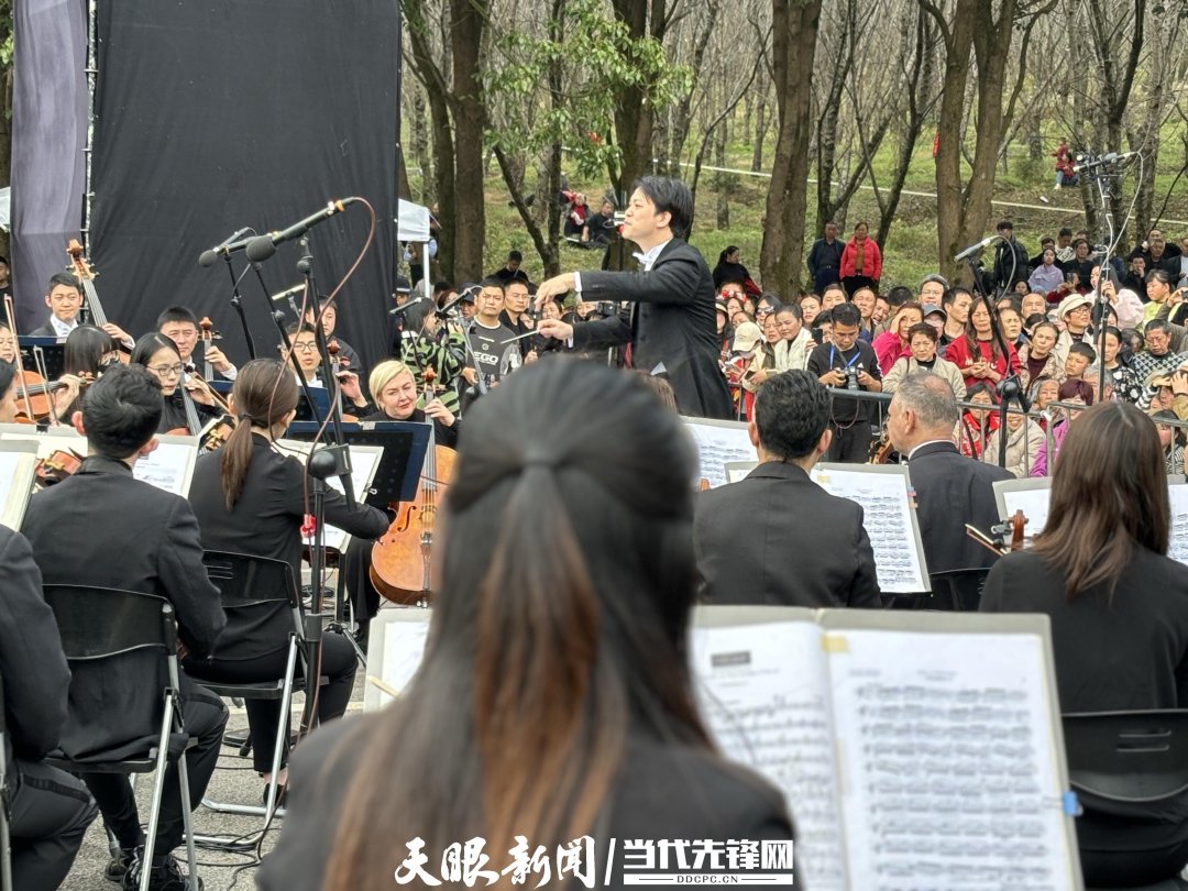 貴陽(yáng)路邊音樂(lè)會(huì)·貴安櫻花園專(zhuān)場(chǎng)交響樂(lè)現(xiàn)場(chǎng)。丁亞 文丹 攝