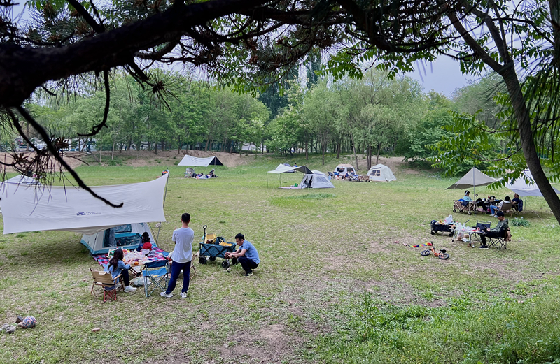 “自駕+露營”等多元模式受熱捧。人民網(wǎng)記者 王連香攝