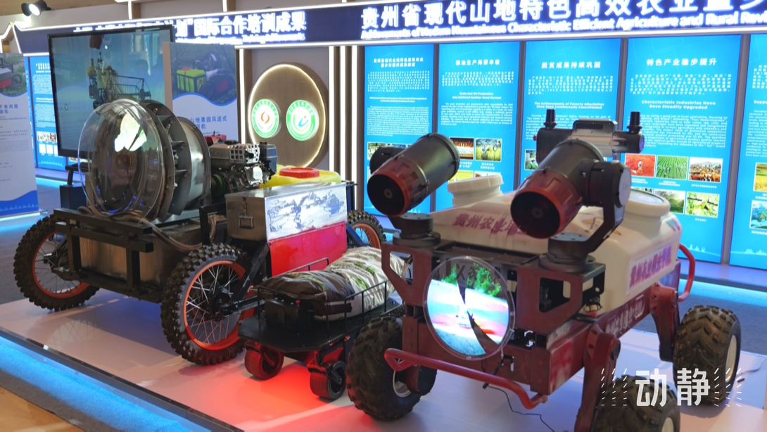 展示成果分享經(jīng)驗(yàn)，中國(guó)—東盟教育交流周深化合作共創(chuàng)未來！