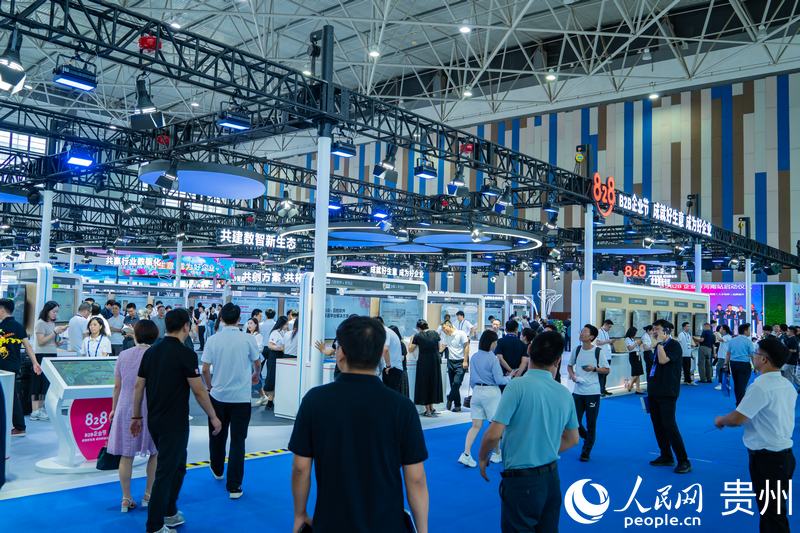 2、2024數(shù)博會(huì)共吸引400余家展商參展。人民網(wǎng) 陽茜攝.jpg