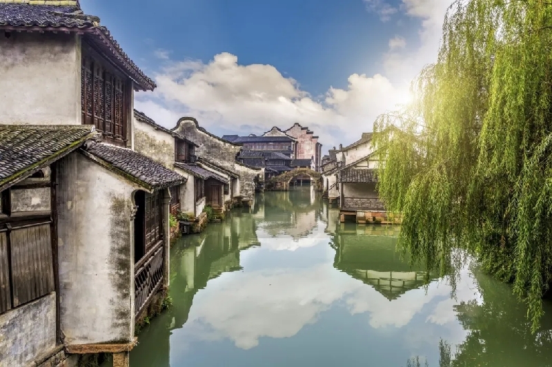 烏鎮(zhèn)動(dòng)觀察｜這個(gè)字，牽起國際交流互鑒之紐帶