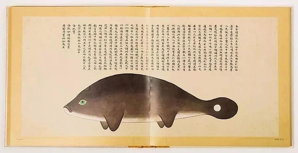 文化中國(guó)行 長(zhǎng)江之歌丨微笑的江豚，從四千年前“游”來(lái)
