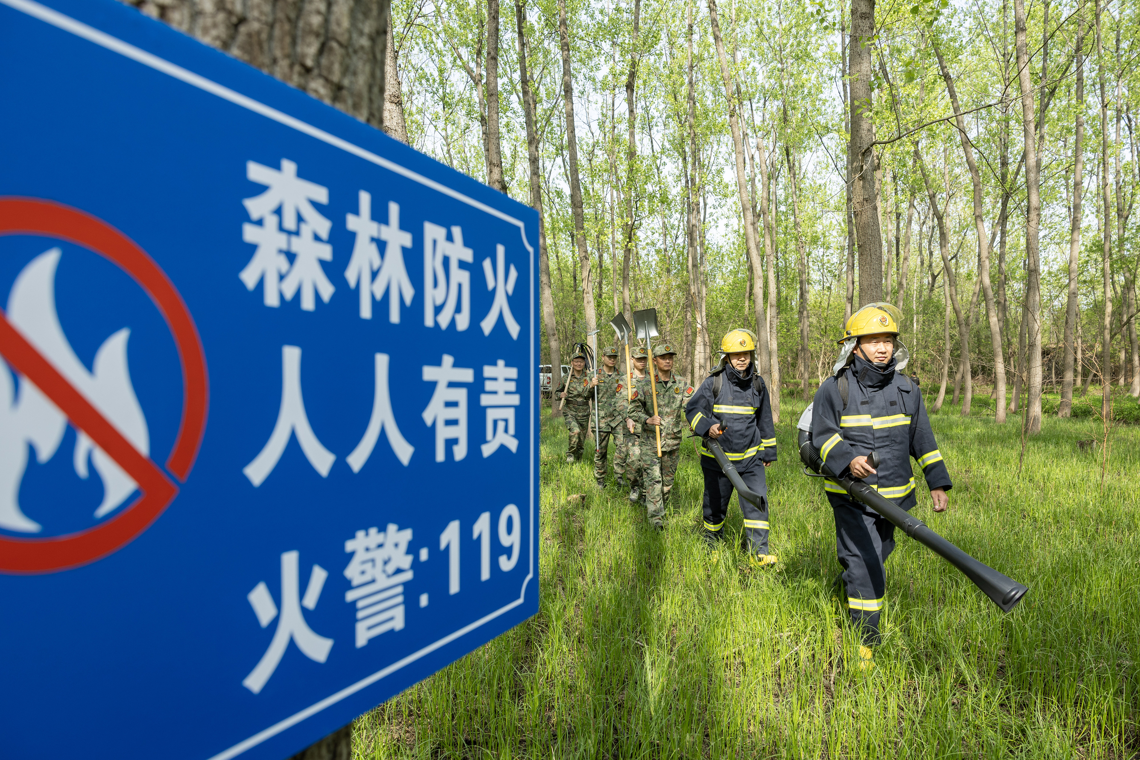 2024年4月9日，合肥市大房郢水庫水源保護(hù)地廬陽經(jīng)濟(jì)開發(fā)區(qū)段，基干民兵正在林間巡查火災(zāi)隱患。
