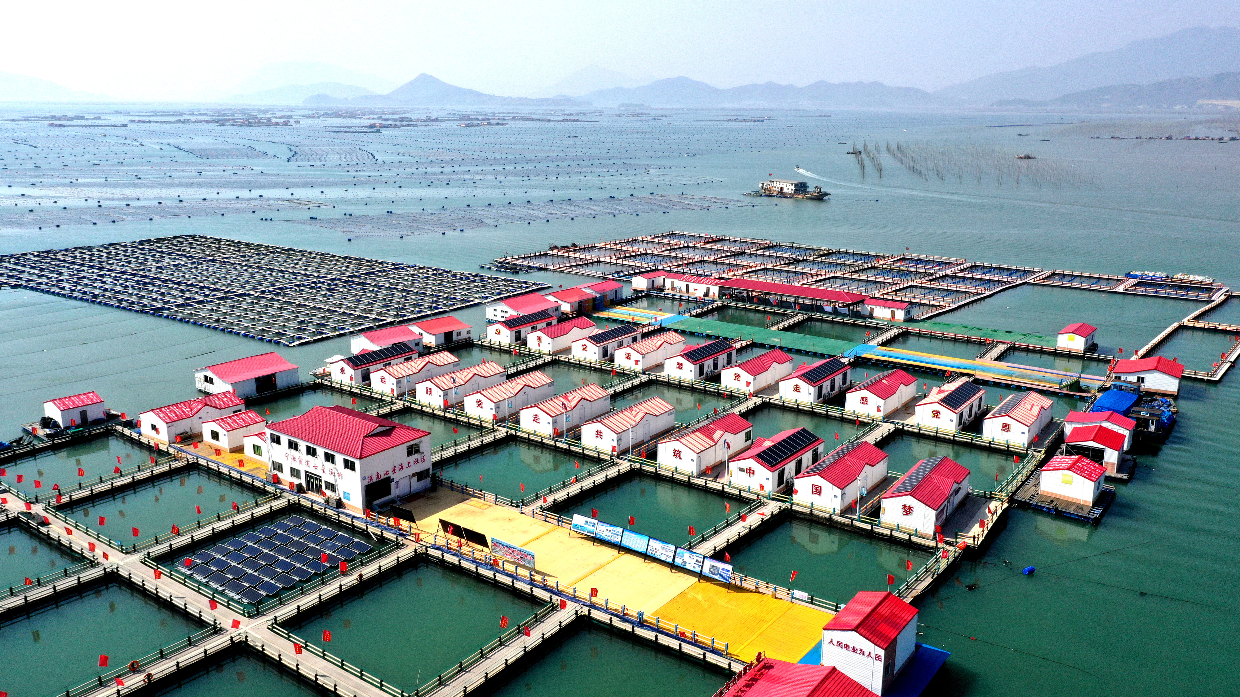 2024年3月20日，福建省寧德市，霞浦縣溪南鎮(zhèn)七星村漁排養(yǎng)殖示范區(qū)，漁民駕駛養(yǎng)殖船進(jìn)行海參養(yǎng)殖作業(yè)。