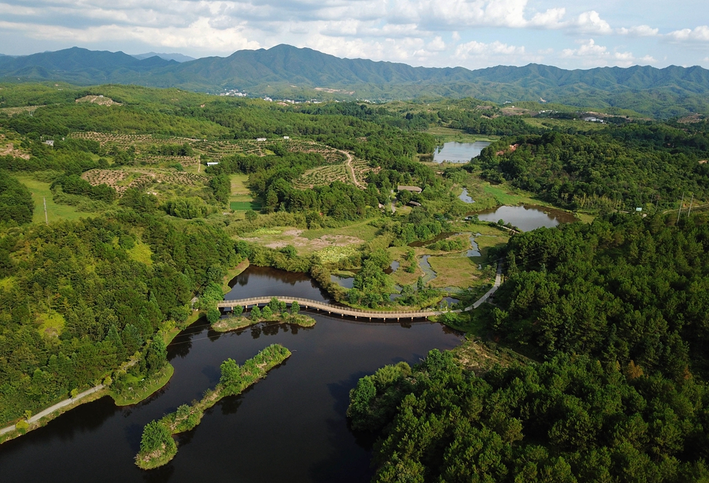 福建省龍巖市長汀縣的長汀汀江國家濕地公園景色（2020年7月28日攝，無人機照片）。新華社記者 魏培全 攝