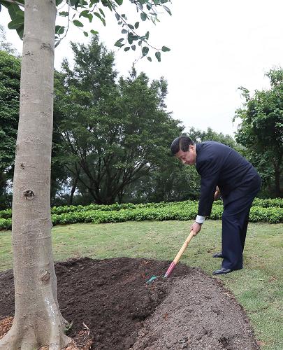 2012年12月7日至11日，習(xí)近平在廣東省考察工作。這是8日上午，習(xí)近平在深圳蓮花山公園種下一棵高山榕樹(shù)。新華社記者 蘭紅光 攝