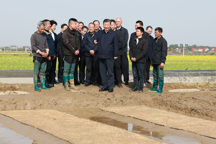 2024年3月18日至21日，中共中央總書(shū)記、國(guó)家主席、中央軍委主席習(xí)近平在湖南考察。這是19日下午，習(xí)近平在常德市鼎城區(qū)謝家鋪鎮(zhèn)港中坪村走進(jìn)田間，察看秧苗培育和春耕備耕進(jìn)展。新華社記者 王曄 攝