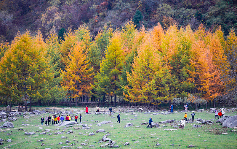 2023年10月27日，深秋時(shí)節(jié)的陜西秦嶺太子嶺漫山紅黃、色彩交織，進(jìn)入最佳觀賞期。