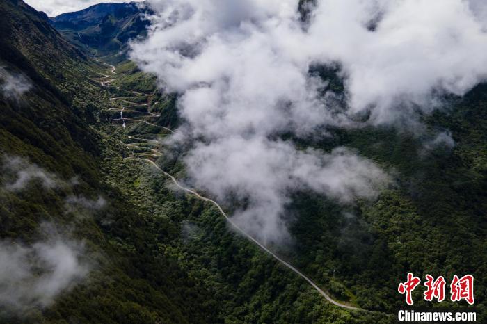 西藏山南勒布溝景區(qū)的盤山公路被云霧環(huán)繞?！〗w波 攝
