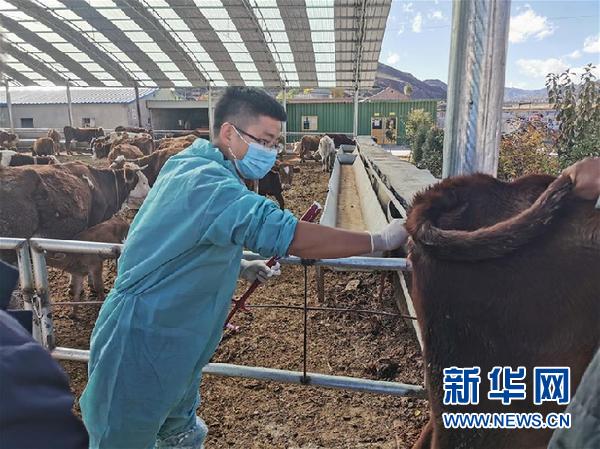 （決戰(zhàn)決勝脫貧攻堅·圖文互動）（2）脫貧“不暫?！?服務“不打烊”——天津通過“云端”幫扶為甘肅受援地區(qū)戰(zhàn)貧繼續(xù)助力