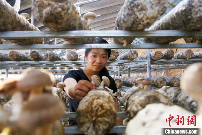 甘肅天?！跋愎椒蚱蕖毕律饺氪ǎ捍笈锢镉板X景”