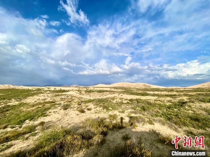 圖為關(guān)停四年后的沙島景區(qū)現(xiàn)狀?！±罱瓕?攝