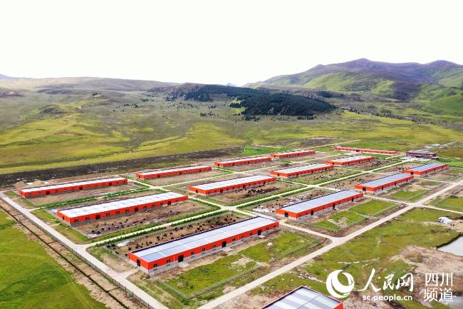 建設(shè)中的理塘縣牦牛產(chǎn)業(yè)園。葉強平攝