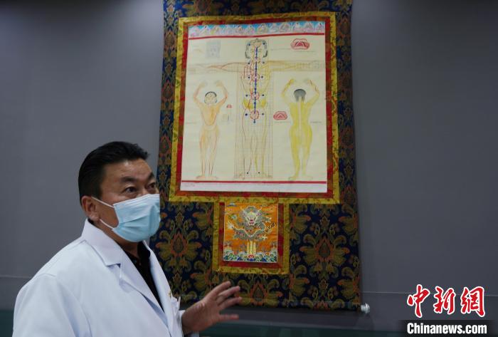 圖為興?？h藏醫(yī)院院長(zhǎng)介紹藏醫(yī)四部醫(yī)典詳實(shí)圖。　馬銘言 攝