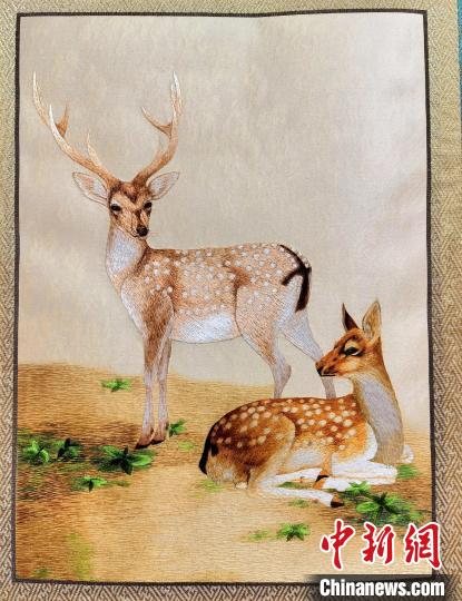 圖為藏繡作品?！∑钤鲚?攝