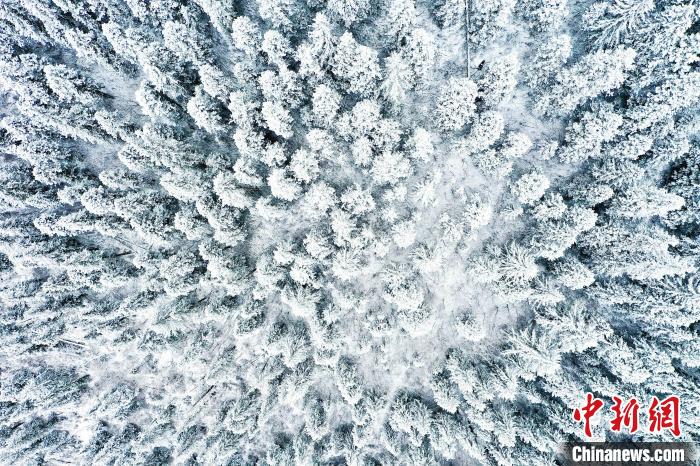 壤塘的雪后美景?！∪捞量h融媒體中心供圖