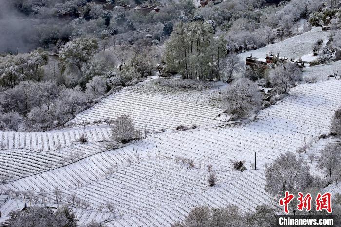 雪后的高山田間如畫。　李永安 攝