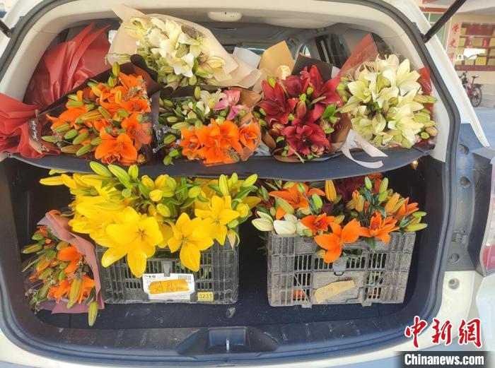 剛剛采摘下來的百合花?！∪捞量h委宣傳部供圖
