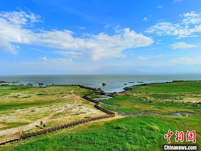 圖為航拍都蘭湖國家濕地公園?！∑钤鲚?攝