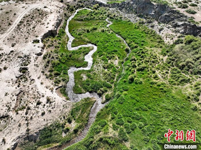 圖為航拍都蘭湖國(guó)家濕地公園綠意盎然?！∑钤鲚?攝