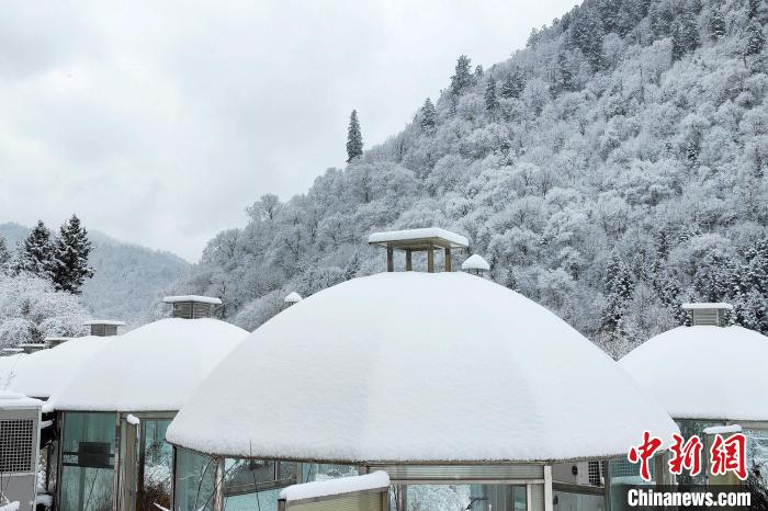 大熊貓國家公園王朗片區(qū)春雪如畫，宛若仙境。　羅春平 攝