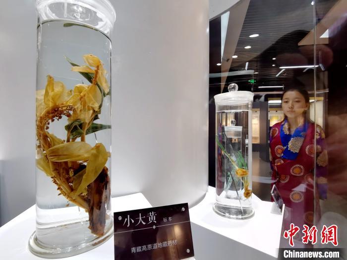 青海中藏醫(yī)藥發(fā)展提速：建設(shè)一批重點?？茖W科，推廣一批適宜技術(shù)
