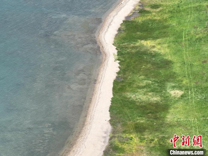 圖為航拍仲夏時節(jié)，青海湖畔綠茵如毯。　祁增蓓 攝