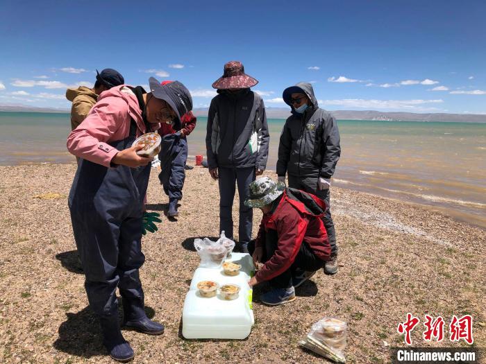 科考隊員在高原湖泊岸邊進餐?！?lt;a target='_blank' ><p  align=