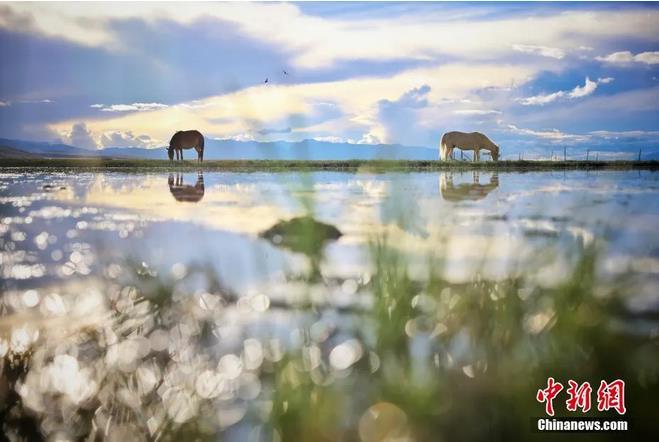 資料圖：那曲市申扎縣境內(nèi)的濕地。李雪峰 攝