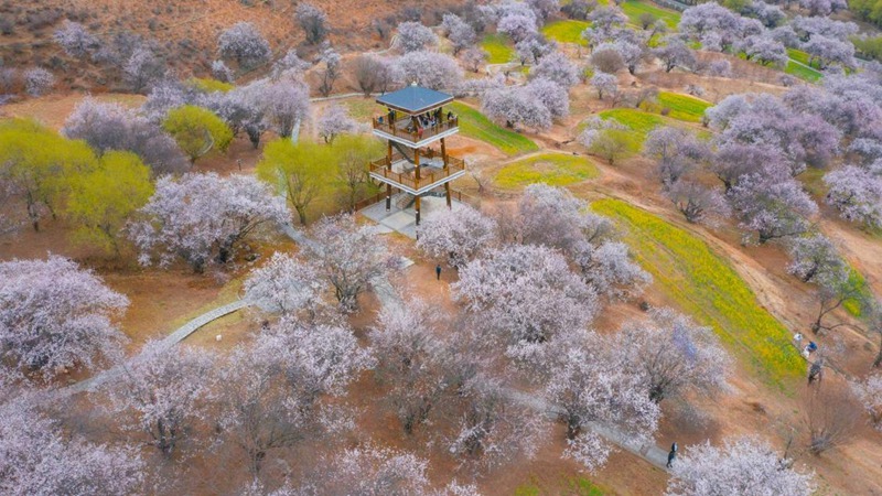 林芝嘎拉村。 張靜攝