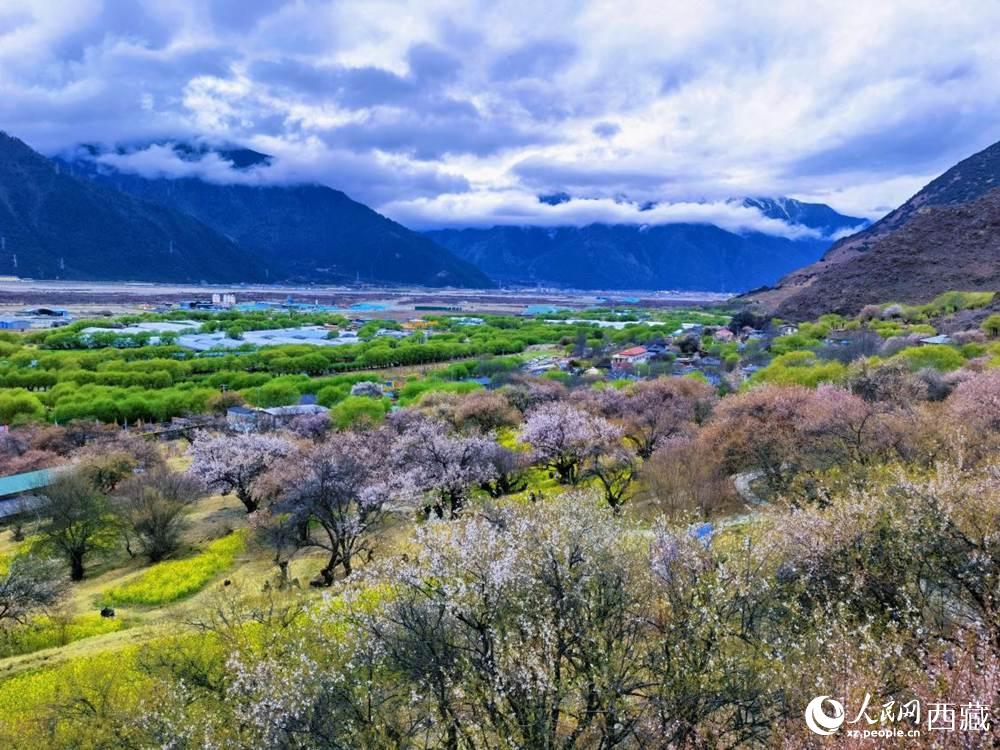 桃花從中的“童話小鎮(zhèn)”。人民網(wǎng) 李海霞攝